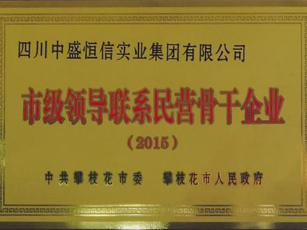 2015-市級領(lǐng)導(dǎo)聯(lián)系民營骨干企業(yè)